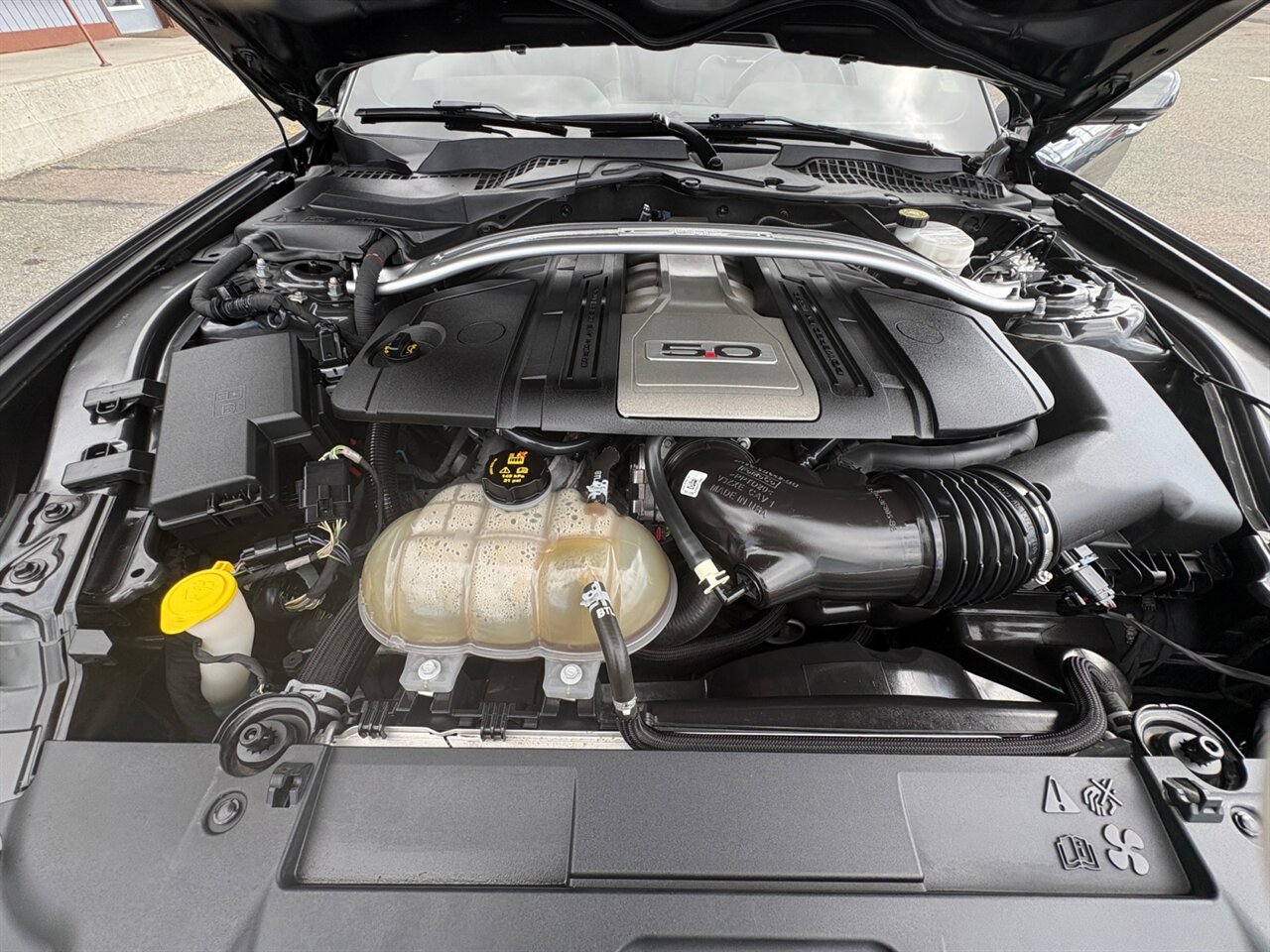 2019 Ford Mustang GT Premium in Gray — thumbnail 20 of 21