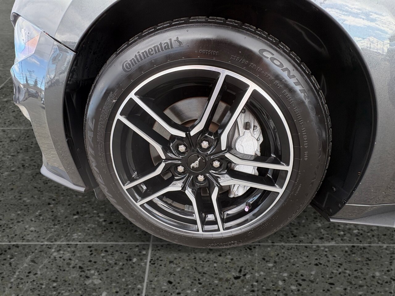 2019 Ford Mustang GT Premium in Gray — thumbnail 15 of 21
